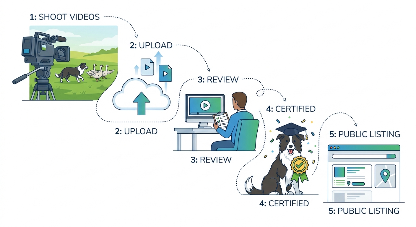 NAGA certification workflow diagram showing the five-step process from video upload to public directory display